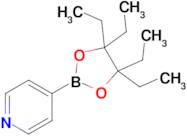 4-(4,4,5,5-Tetraethyl-1,3,2-dioxaborolan-2-yl)pyridine