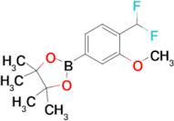 2-(4-(Difluoromethyl)-3-methoxyphenyl)-4,4,5,5-tetramethyl-1,3,2-dioxaborolane