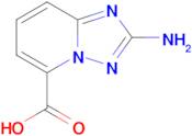 2-Amino-[1,2,4]triazolo[1,5-a]pyridine-5-carboxylic acid