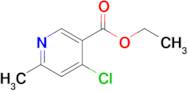 Ethyl 4-chloro-6-methylnicotinate