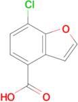 7-Chlorobenzofuran-4-carboxylic acid