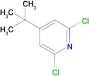 4-(tert-Butyl)-2,6-dichloropyridine