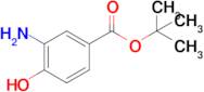 tert-Butyl 3-amino-4-hydroxybenzoate