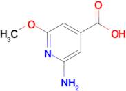 2-Amino-6-methoxyisonicotinic acid