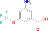 3-Amino-5-(trifluoromethoxy)benzoic acid