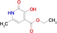 Ethyl 3-hydroxy-6-methyl-2-oxo-1,2-dihydropyridine-4-carboxylate