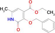 Ethyl 3-(benzyloxy)-6-methyl-2-oxo-1,2-dihydropyridine-4-carboxylate