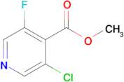 Methyl 3-chloro-5-fluoroisonicotinate