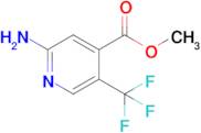 Methyl 2-amino-5-(trifluoromethyl)isonicotinate