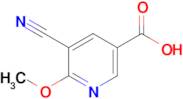 5-Cyano-6-methoxynicotinic acid