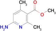 Methyl 6-amino-2,4-dimethylnicotinate