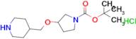 tert-Butyl 3-(piperidin-4-ylmethoxy)pyrrolidine-1-carboxylate hydrochloride