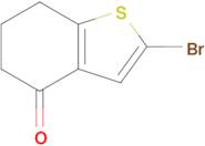 2-Bromo-6,7-dihydrobenzo[b]thiophen-4(5H)-one