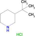 3-(tert-Butyl)piperidine hydrochloride