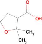 2,2-Dimethyltetrahydrofuran-3-carboxylic acid