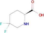 (S)-5,5-Difluoropiperidine-2-carboxylic acid