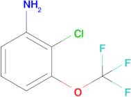 2-Chloro-3-(trifluoromethoxy)aniline