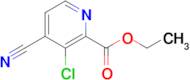 Ethyl 3-chloro-4-cyanopicolinate