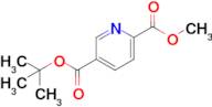 5-tert-Butyl 2-methyl pyridine-2,5-dicarboxylate