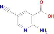2-Amino-5-cyanonicotinic acid