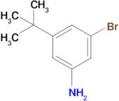 3-Bromo-5-(tert-butyl)aniline