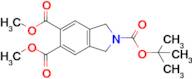 2-tert-Butyl 5,6-dimethyl isoindoline-2,5,6-tricarboxylate