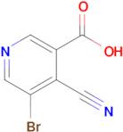 5-Bromo-4-cyanonicotinic acid