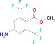 Methyl 4-amino-2,6-bis(trifluoromethyl)benzoate