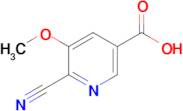 6-Cyano-5-methoxynicotinic acid