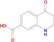 4-Oxo-1,2,3,4-tetrahydroquinoline-7-carboxylic acid