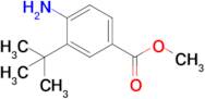 Methyl 4-amino-3-(tert-butyl)benzoate