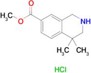 Methyl 4,4-dimethyl-1,2,3,4-tetrahydroisoquinoline-7-carboxylate hydrochloride