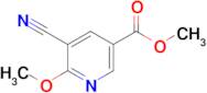Methyl 5-cyano-6-methoxynicotinate