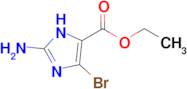 Ethyl 2-amino-4-bromo-1H-imidazole-5-carboxylate