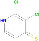 2,3-dichloro-1,4-dihydropyridine-4-thione