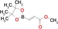 Methyl (E)-3-(4,4,5,5-tetramethyl-1,3,2-dioxaborolan-2-yl)acrylate