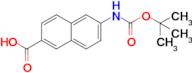 6-((tert-Butoxycarbonyl)amino)-2-naphthoic acid