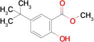 Methyl 5-(tert-butyl)-2-hydroxybenzoate