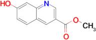 Methyl 7-hydroxyquinoline-3-carboxylate