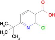 6-(tert-Butyl)-2-chloronicotinic acid