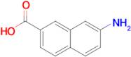 7-Amino-2-naphthoic acid