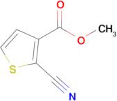 Methyl 2-cyanothiophene-3-carboxylate