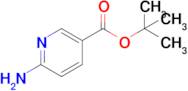 tert-Butyl 6-aminonicotinate