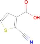 2-Cyanothiophene-3-carboxylic acid