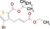 tert-Butyl (E)-4-bromo-3-(4-ethoxy-4-oxobut-2-en-1-yl)thiophene-2-carboxylate