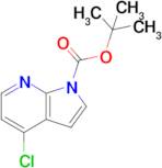 tert-Butyl 4-chloro-1H-pyrrolo[2,3-b]pyridine-1-carboxylate