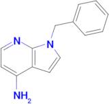 1-Benzyl-1H-pyrrolo[2,3-b]pyridin-4-amine