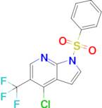 4-Chloro-1-(phenylsulfonyl)-5-(trifluoromethyl)-1H-pyrrolo[2,3-b]pyridine