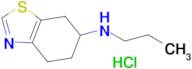 N-propyl-4,5,6,7-tetrahydrobenzo[d]thiazol-6-amine hydrochloride