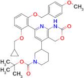 tert-Butyl 3-(7-(2-(cyclopropylmethoxy)-6-((4-methoxybenzyl)oxy)phenyl)-2-oxo-2,4-dihydro-1H-pyrid…